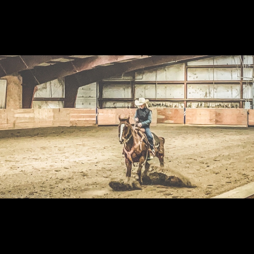 Meet your Posher, Heidi